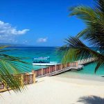 Montego Bay Beach and Highlights Tour